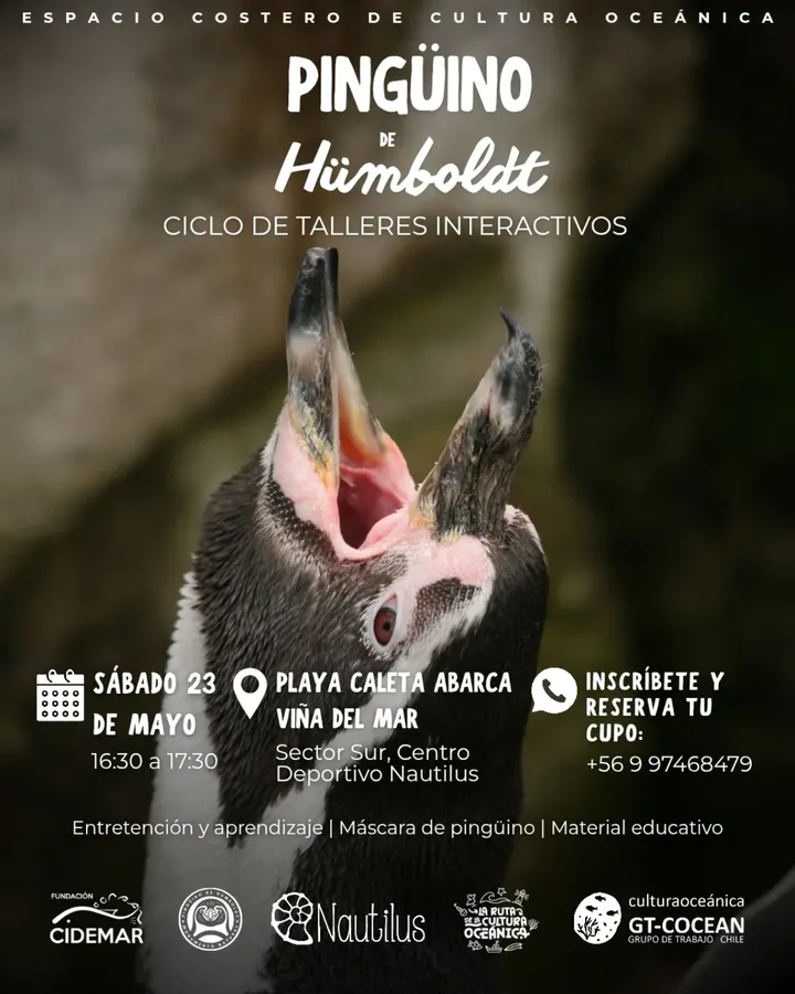 Pingüino de Humboldt