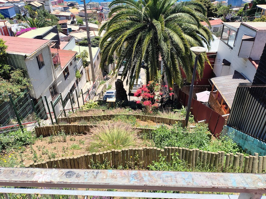Mirador Arturo Moya Gray