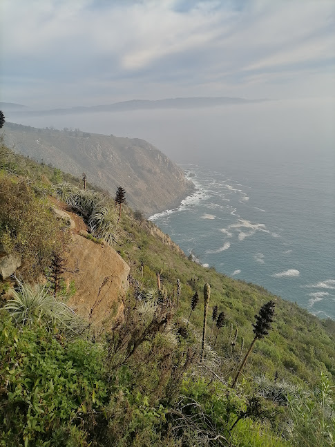 Acantilados Federico Santa María