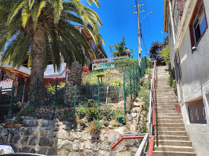 Mirador Arturo Moya Gray