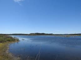 Reserva Nacional Lago Peñuelas
