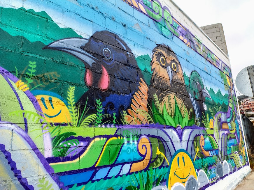 Mural pajaros
